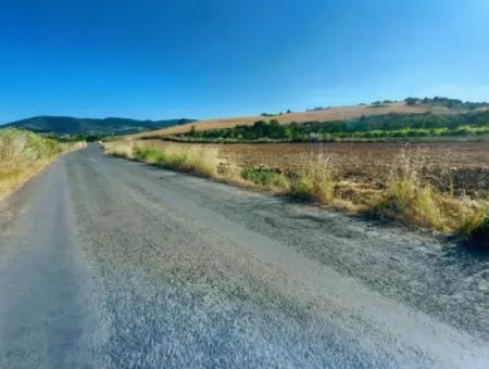 Tekirdağ Naip Mahallesinde Acil Satılık Anayol Cepheli Tıny House Kurmak İçin Harika Fırsat Tarla