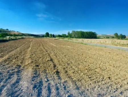 Tekirdağ Naip Mahallesinde Acil Satılık Anayol Cepheli Tıny House Kurmak İçin Harika Fırsat Tarla