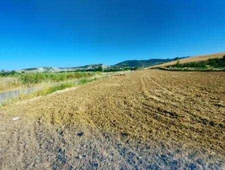 Tekirdağ Naip Mahallesinde Acil Satılık Anayol Cepheli Tıny House Koymaya Uygun Kupon Tarla