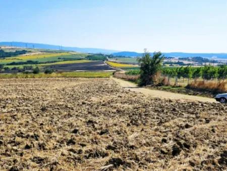 Tekirdağ Aşağkılıçlı Mah. Anayol Cepheli 2.340 M2 Al - Sata Uygun Yüksek Kazanç Vaaed Eden Acil Satılık Kupon Tarla