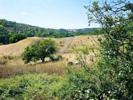 Tekirdağ Çanakçı Mahallesinde Kazançlı Yatırım Yapmak İsteyenler İçin Acil Satılık Kelepir Kopon Tarla