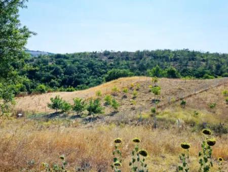 Tekirdağ Çanakçı Mahallesinde Kazançlı Yatırım Yapmak İsteyenler İçin Acil Satılık Kelepir Kopon Tarla