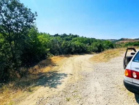 Tekirdağ Çanakçı Mahallesinde Acil Satılık Doğa Meraklılarına Tıny House Koymaya Uygun Anayol Cepheli Kupon Tarla