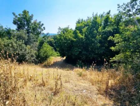 Tekirdağ Çanakçı Mahallesinde Acil Satılık Doğa Meraklılarına Tıny House Koymaya Uygun Anayol Cepheli Kupon Tarla