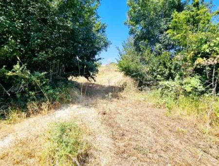 Tekirdağ Çanakçı Mahallesinde Acil Satılık Doğa Meraklılarına Tıny House Koymaya Uygun Anayol Cepheli Kupon Tarla