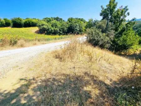 Tekirdağ Çanakçı Mahallesinde Acil Satılık Doğa Meraklılarına Tıny House Koymaya Uygun Anayol Cepheli Kupon Tarla