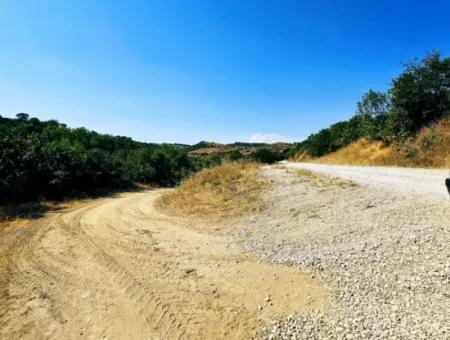 Tekirdağ Çanakçı Mahallesinde Acil Satılık Doğa Meraklılarına Tıny House Koymaya Uygun Anayol Cepheli Kupon Tarla