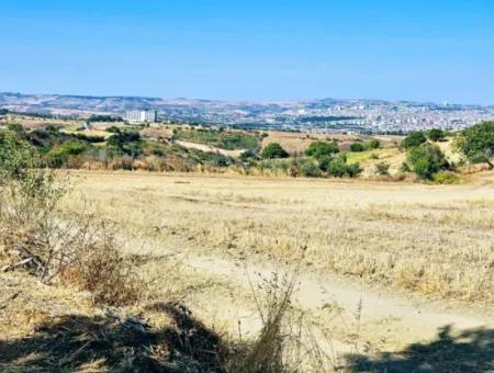 Tekirdağ Barbarosta Acil Satılık 2.650 M2 Villa İmarlı Yatırıma Uygun Kupon Tarla