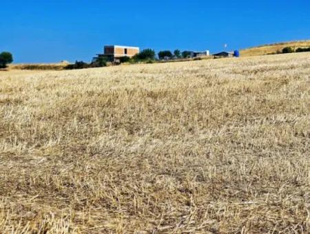 Tekirdağ Barbarosta Acil Satılık 2.650 M2 Villa İmarlı Yatırıma Uygun Kupon Tarla