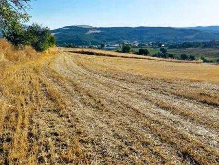 Azyaport Limanı Mevcut İmara Yakın 16.100 Acil Satılık Yatırımlık Kelepir Kupon Tarla