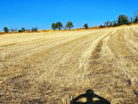 Azyaport Limanı Mevcut İmara Yakın 16.100 Acil Satılık Yatırımlık Kelepir Kupon Tarla