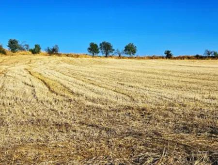 Azyaport Limanı Mevcut İmara Yakın 16.100 Acil Satılık Yatırımlık Kelepir Kupon Tarla